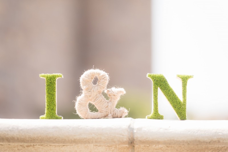 ランド派?SEE派??