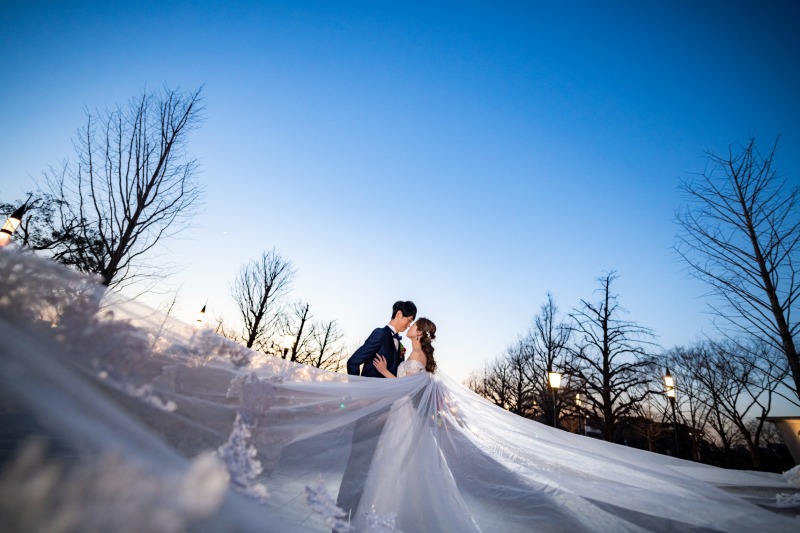 流れるようなベールショット
