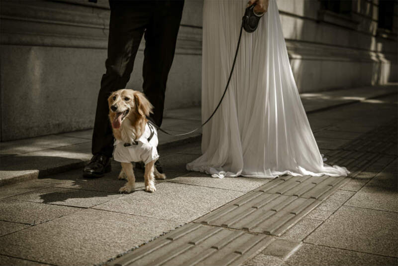 お散歩中のウォーキングショット♪