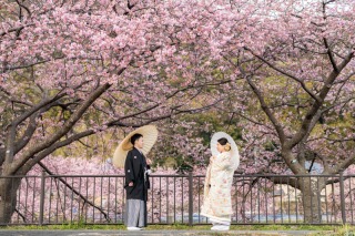 【和装】セットレンタル