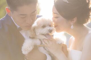 ペットとの撮影