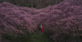 24to wedding_世界コンテスト受賞写真