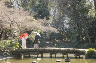 24to wedding_和装庭園