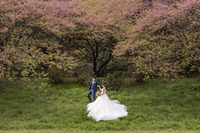 【2月25日～3月3日撮影限定！】河津桜との前撮りが叶う洋装プラン