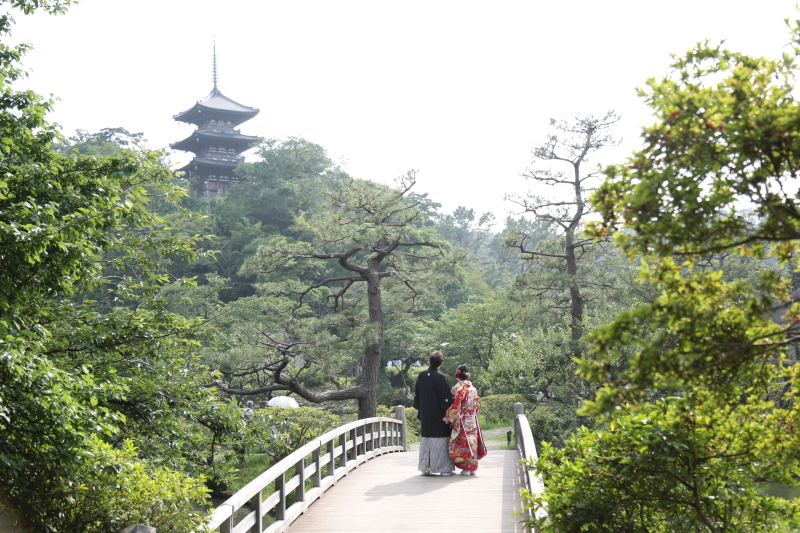 緑がきらめいて