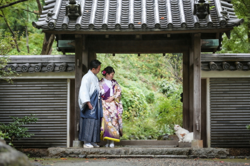 雨宿りのおとも
