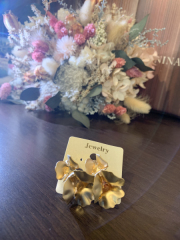 イヤリング（ゴールド）RING