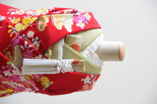 BRW（掛下：緑）半衿（梅）