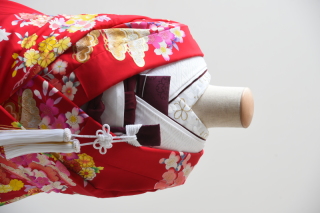 BRW（掛下：白）半衿（梅）紫スタイル