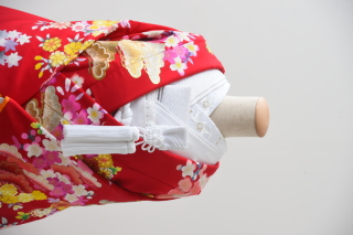 BRW（掛下：白）半衿（百合）