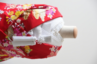 BRW（掛下：白）半衿（梅）