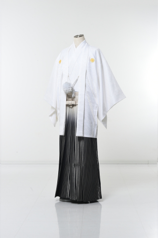 White×shimagradation