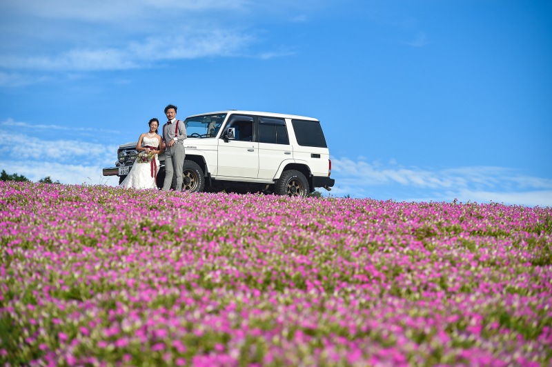 空とペチュニアと愛車と・・・