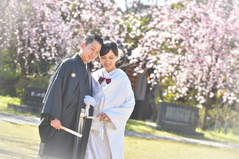 満開の桜
