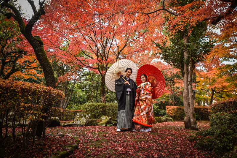 紅葉の絨毯が、、、