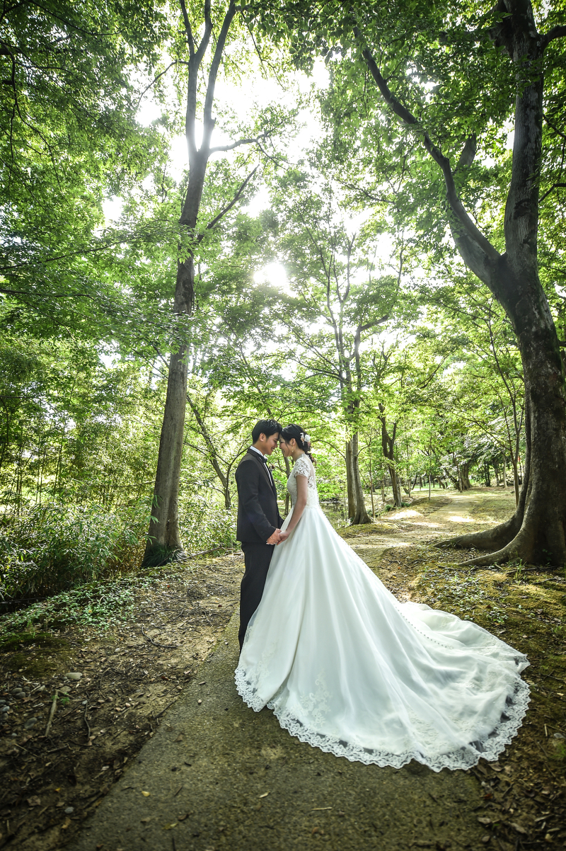 9月の公園はまだまだ緑がいっぱいです