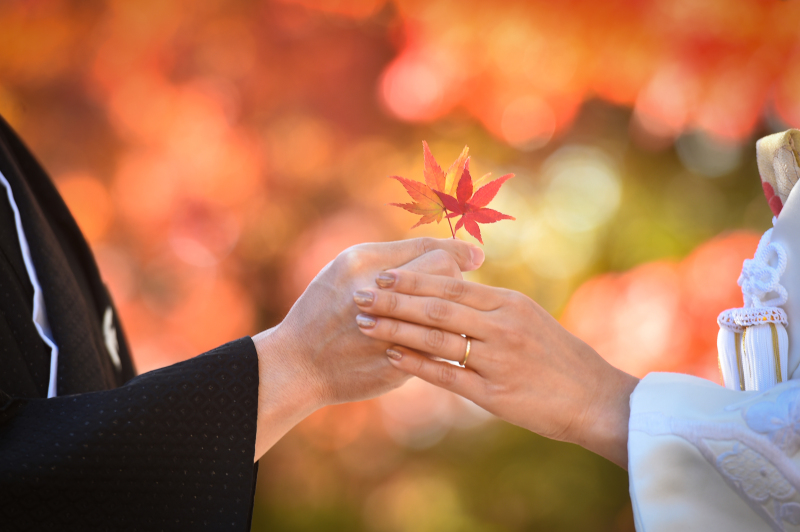 紅葉撮影のイメージカット