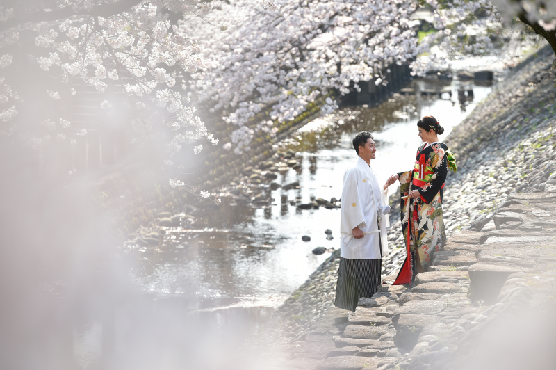 満開の桜と・・・