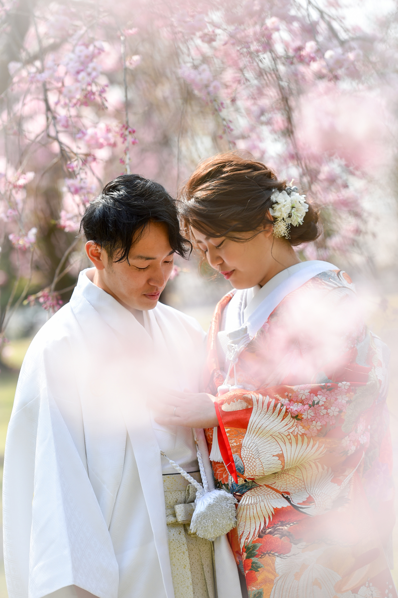 しだれ桜・・・