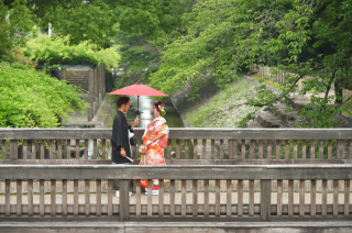 【和装２点】ロケーション→スタジオ　〜Cymbidium〜