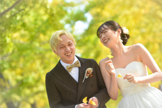 【和・洋】　Rows of golden yellow ginkgo trees