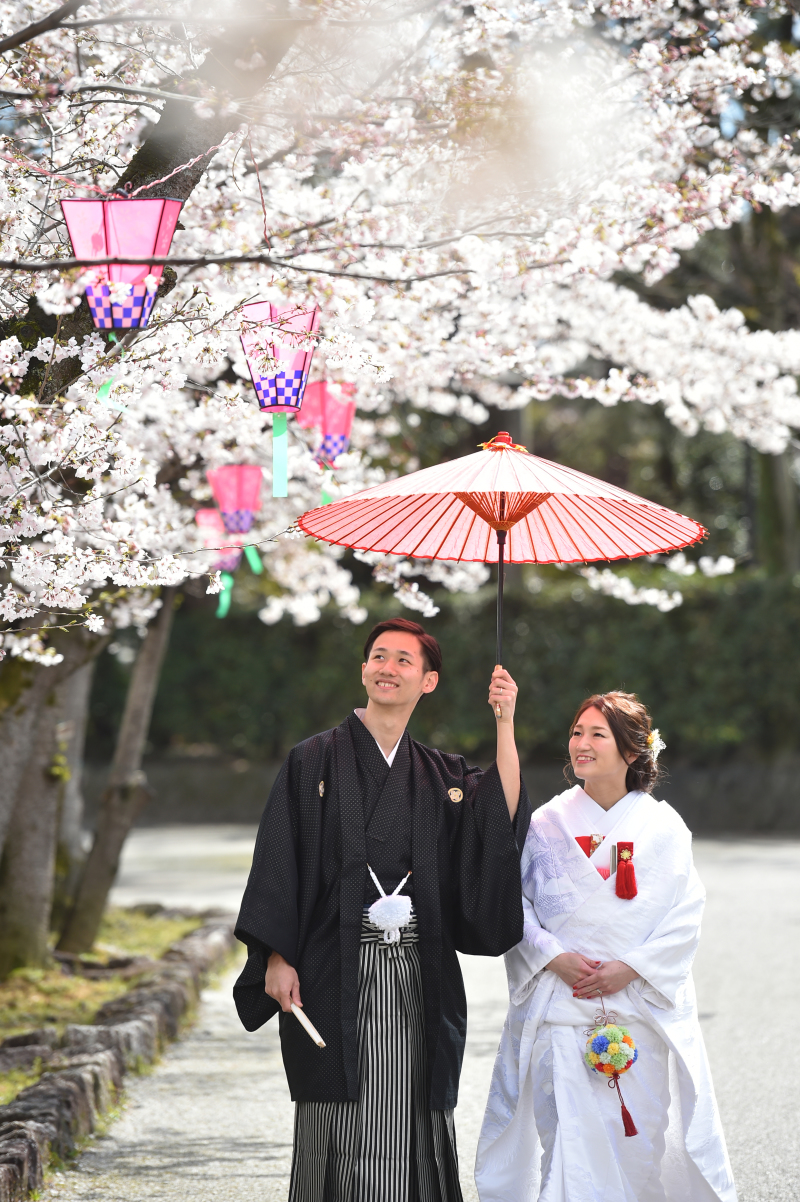 大垣城の桜・・・