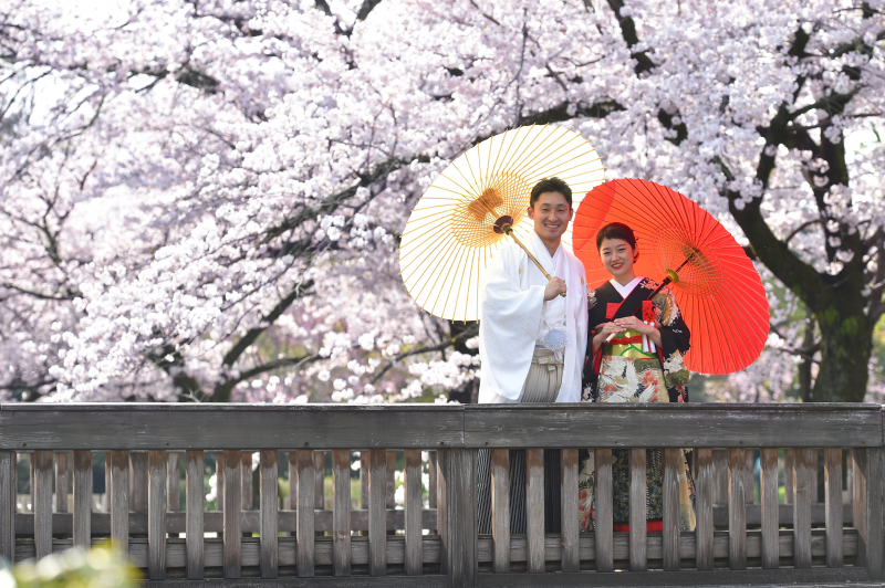 桜のロケーション・・・