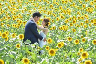 【和装１洋装１】スタジオ→ロケーション〜SunFlower〜