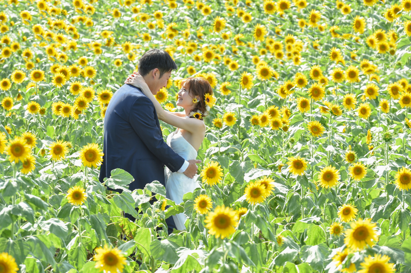 【和装１洋装１】スタジオ→ロケーション〜SunFlower〜