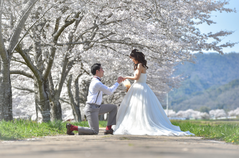 プロポーズを桜の木の下で・・・