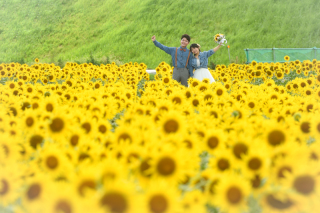 【洋装1点　スタジオ＋ロケーション】〜 HIMAWARI 〜