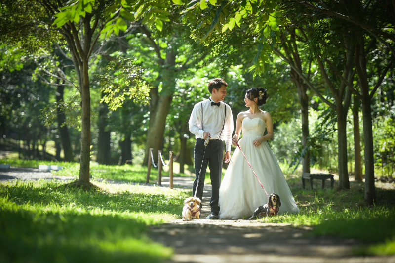 両家のわんちゃんです。