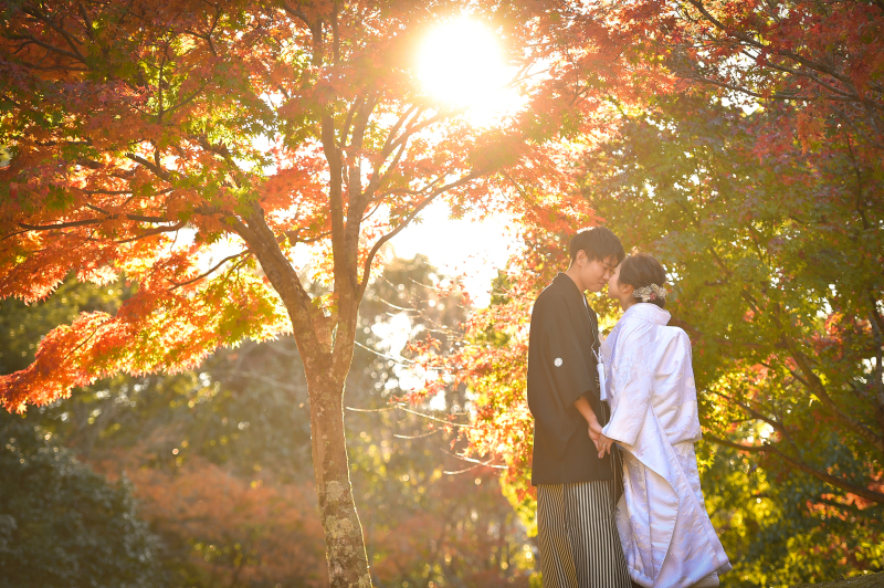 和装1点【スタジオ→ロケーション】〜autumn foliage〜