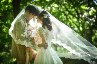 NINA Primary Pictures