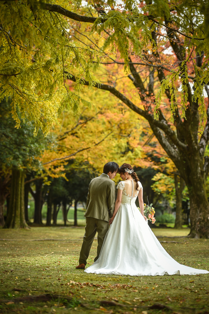 NINA Primary Pictures