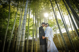 NINA Primary Pictures_Pic up !!