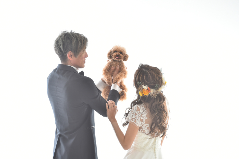 ペットプラン！【洋装１点　スタジオ＋ロケーション撮影】データ１２０カット以上♪