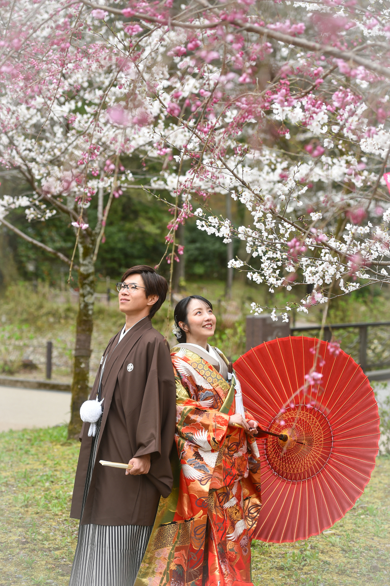 春SAKURAシーズンのご予約開始♪【和装１点　スタジオ＋ロケーション撮影】データ１２０カット以上♪