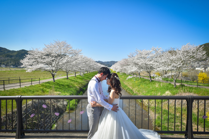 春SAKURAシーズンのご予約開始♪【洋装１点　スタジオ＋ロケーション撮影】データ１２０カット以上♪