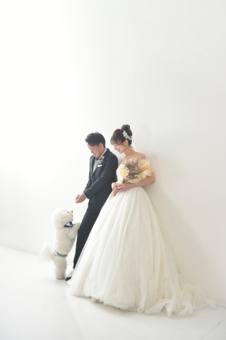 NINA Primary Pictures