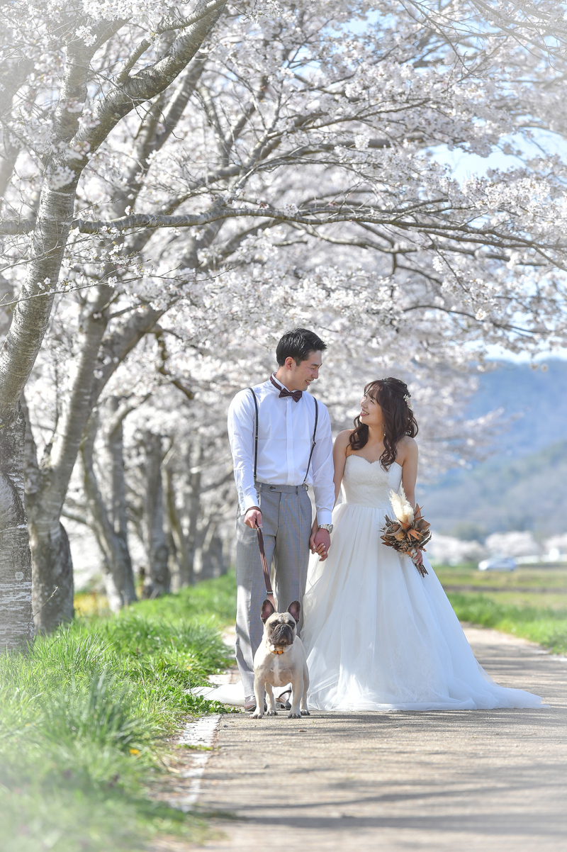 春SAKURAシーズンのご予約開始♪【洋装１点　スタジオ＋ロケーション撮影】データ１２０カット以上♪