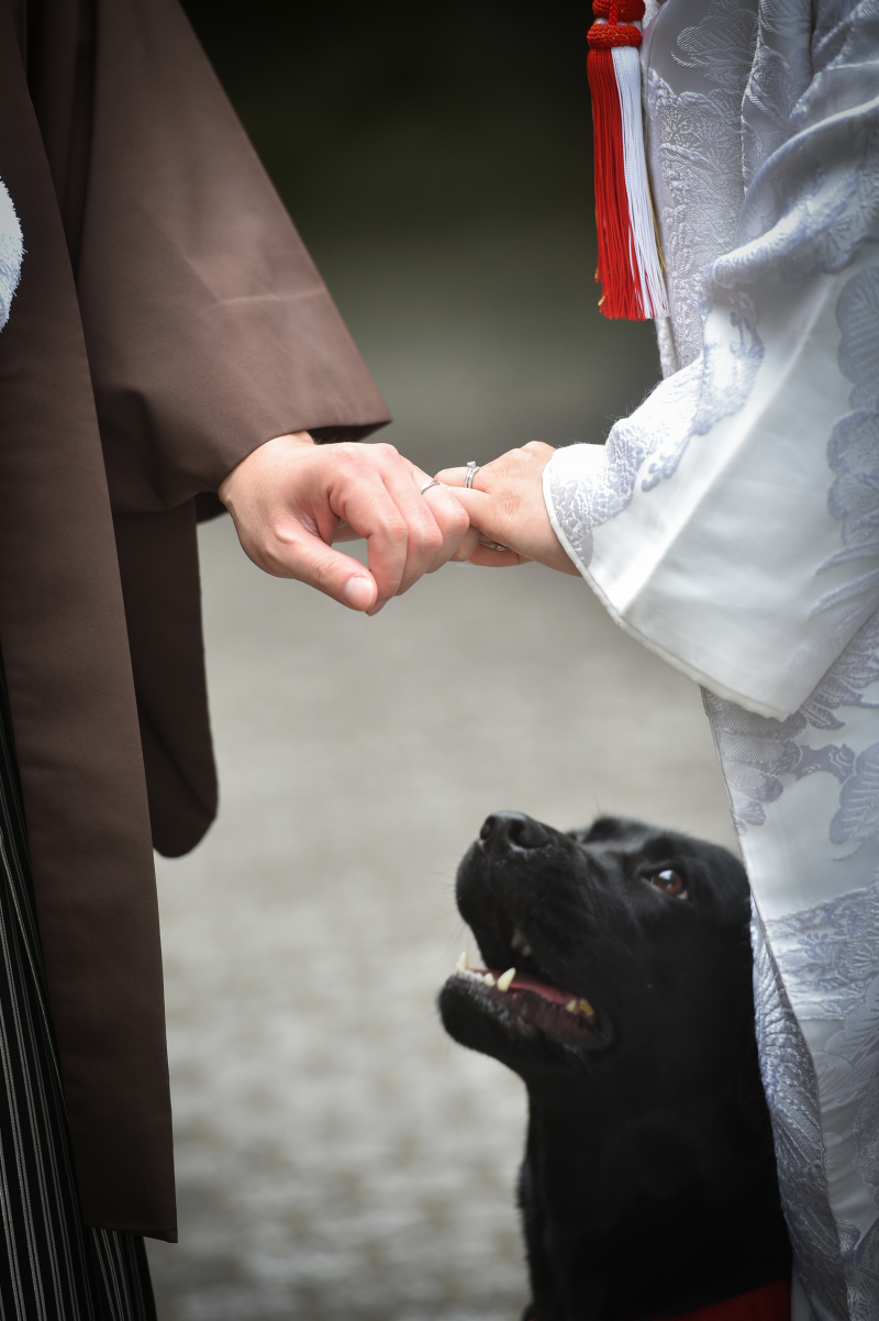 ペットプラン！【洋装１点　スタジオ＋ロケーション撮影】データ１２０カット以上♪
