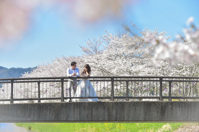 春SAKURAシーズンのご予約開始♪【洋装１点　スタジオ＋ロケーション撮影】データ１２０カット以上♪