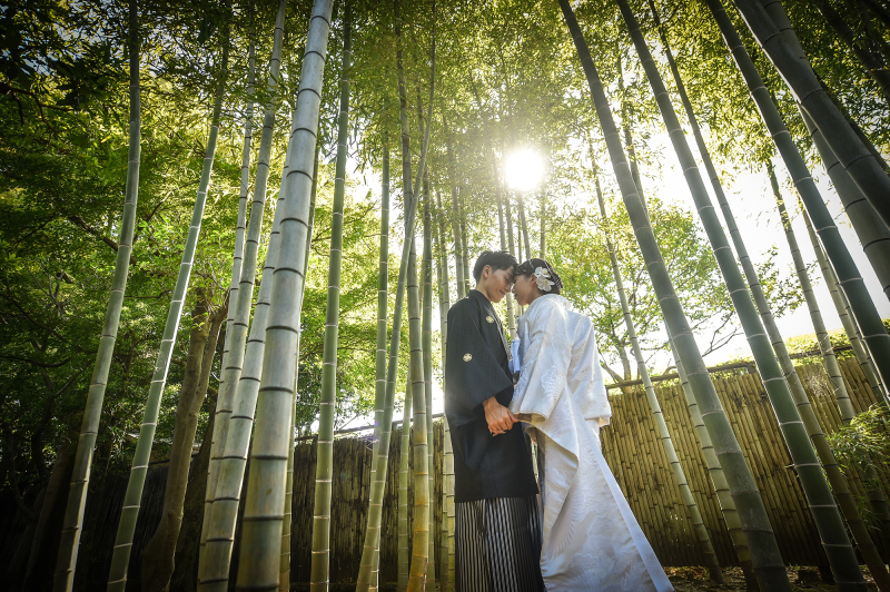 20組様限定！ロケーション代〈&yen;20,000〉無料！選べる特典付き！春のロケキャンペーン♪和装１点スタジオ＋ロケ撮影