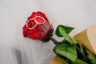 沢山のご友人と一緒に撮影！