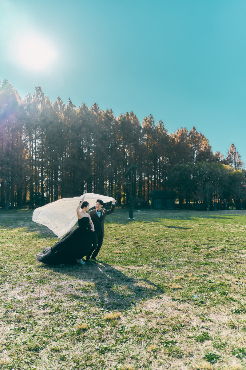 青空と芝生のベールショット