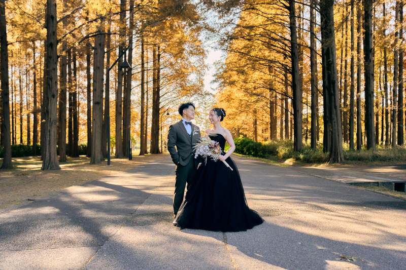 メタセコイア並木のロマンチックショット