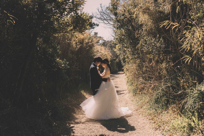 緑のトンネルから始まるストーリー