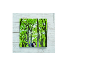 グラフィック(20ページ20カット）