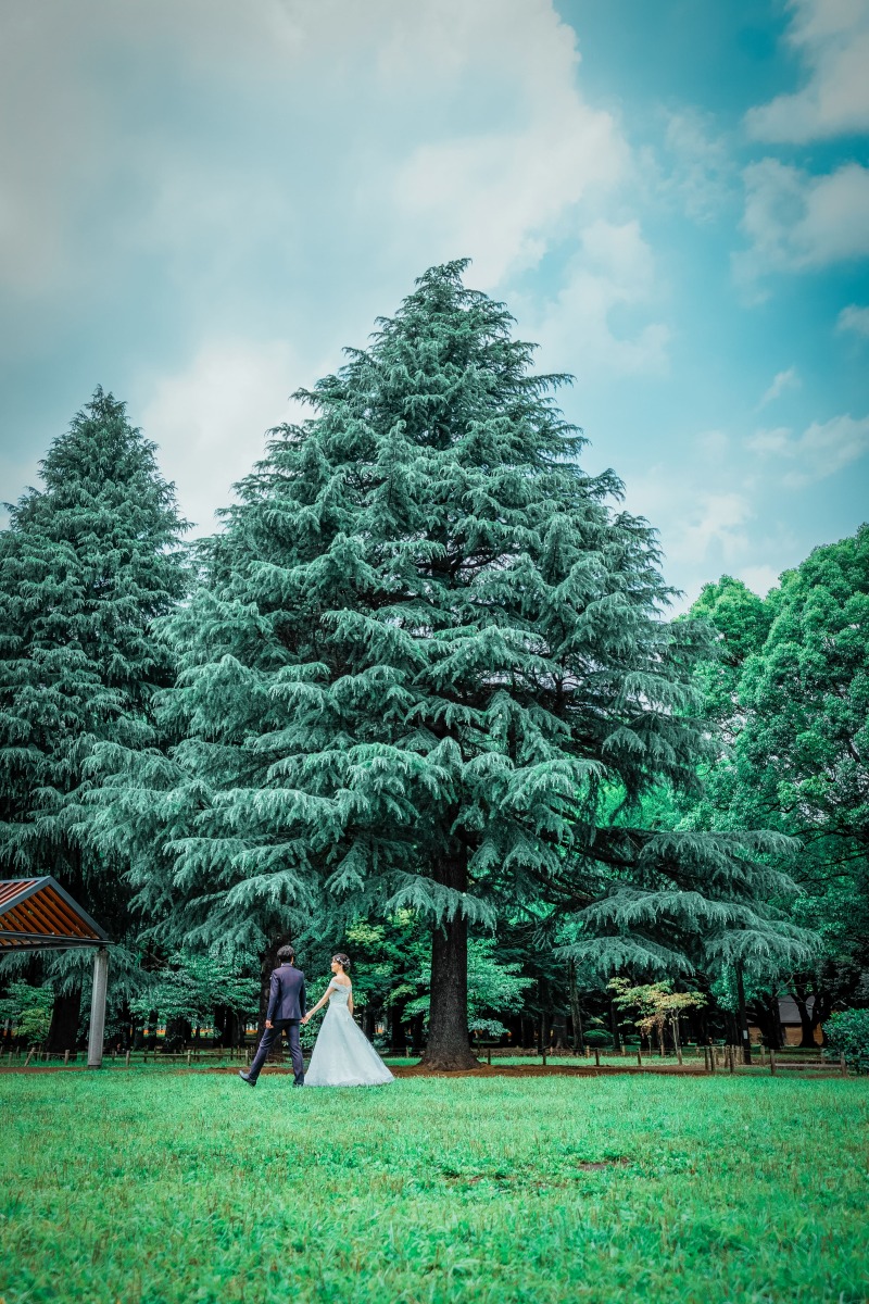 20以上ある撮影シーン